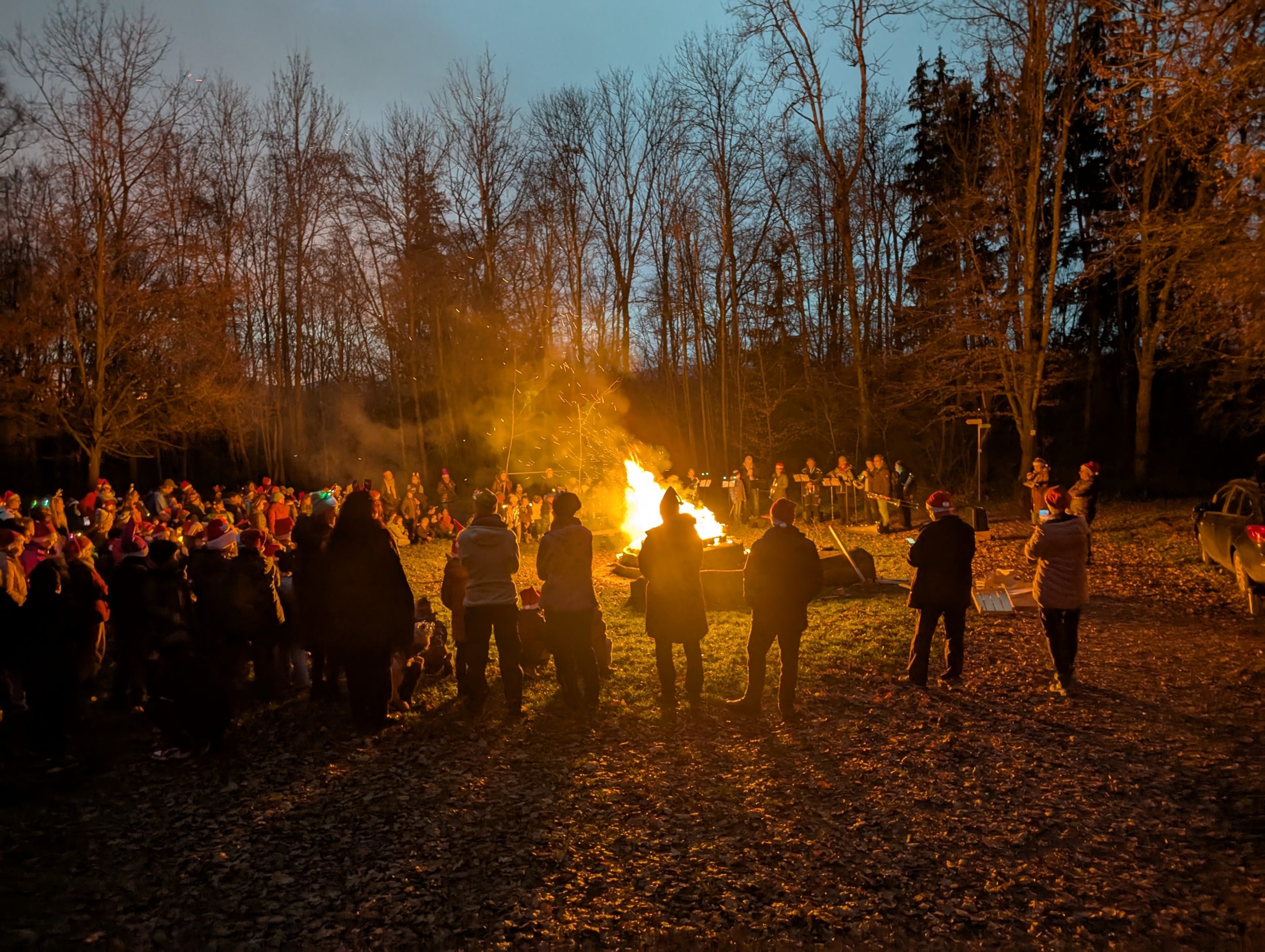 Mehr über den Artikel erfahren Waldweihnacht 2024