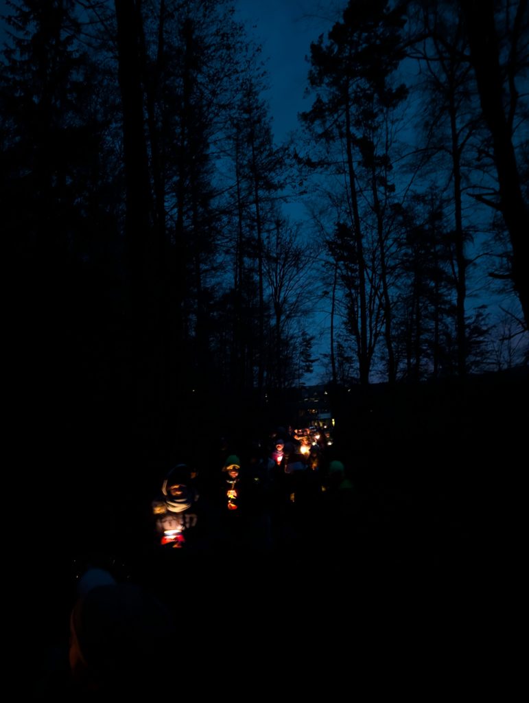 Pxl 20251219 062320791.mp