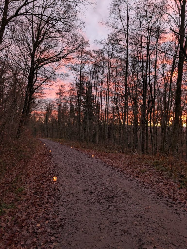 Pxl 20251219 070137629