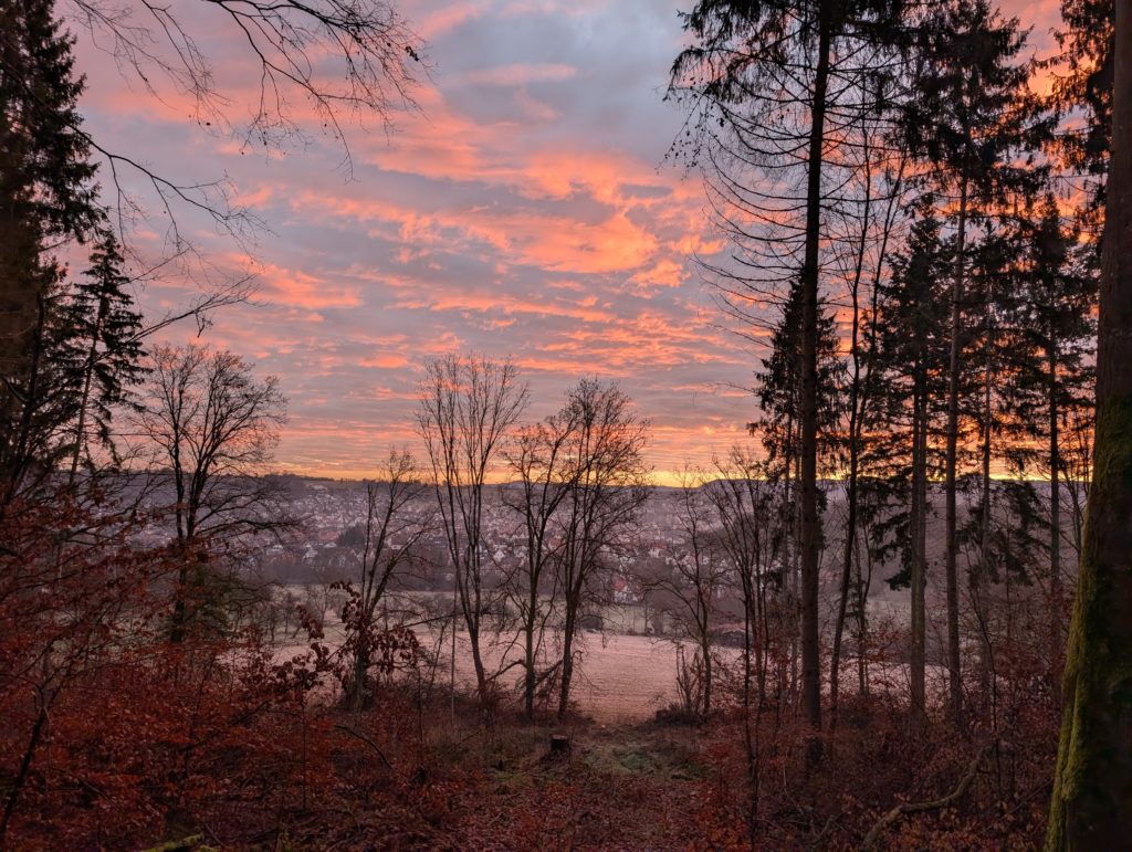 Pxl 20251219 070617472