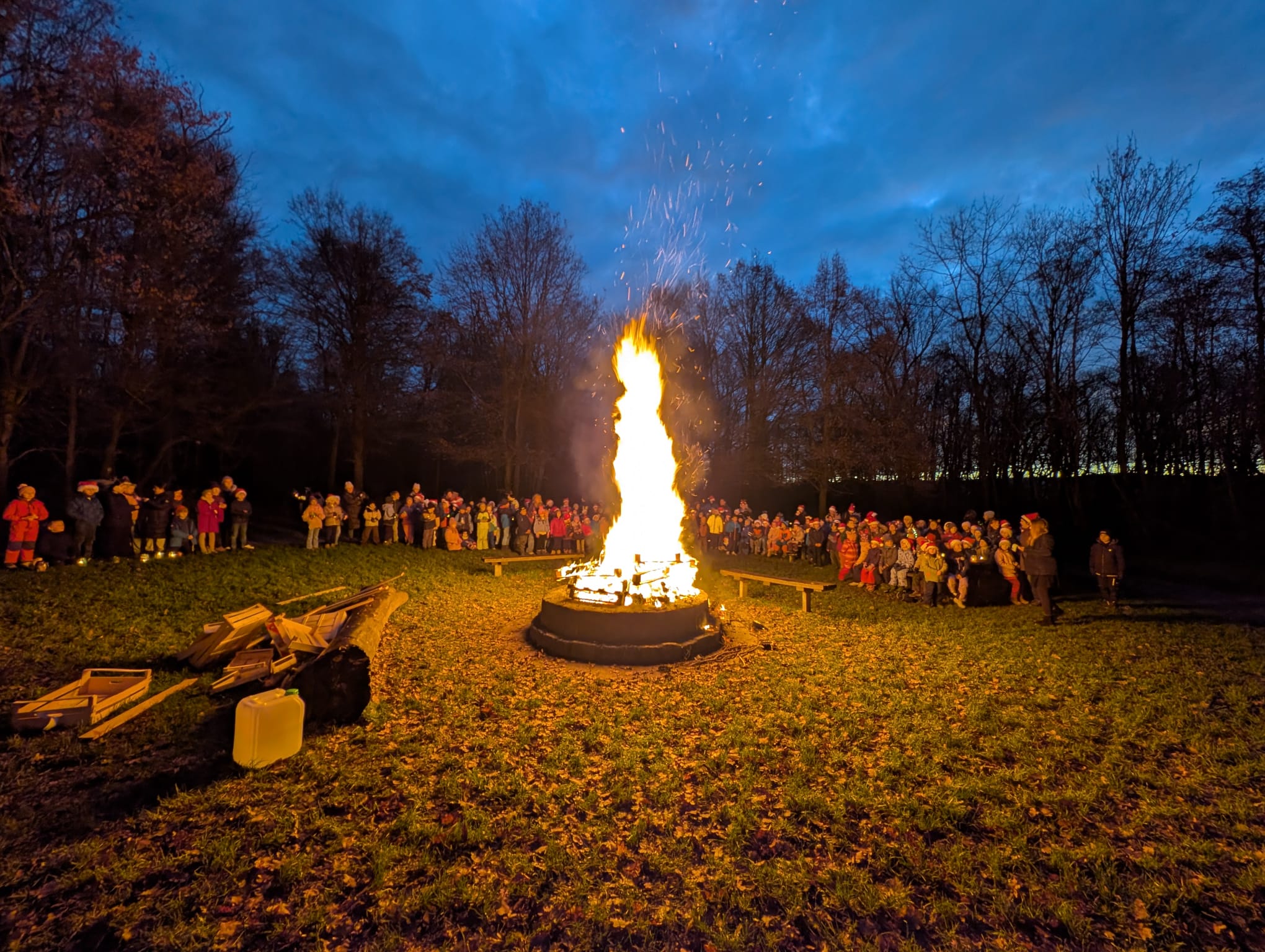 Mehr über den Artikel erfahren Waldweihnacht 2025