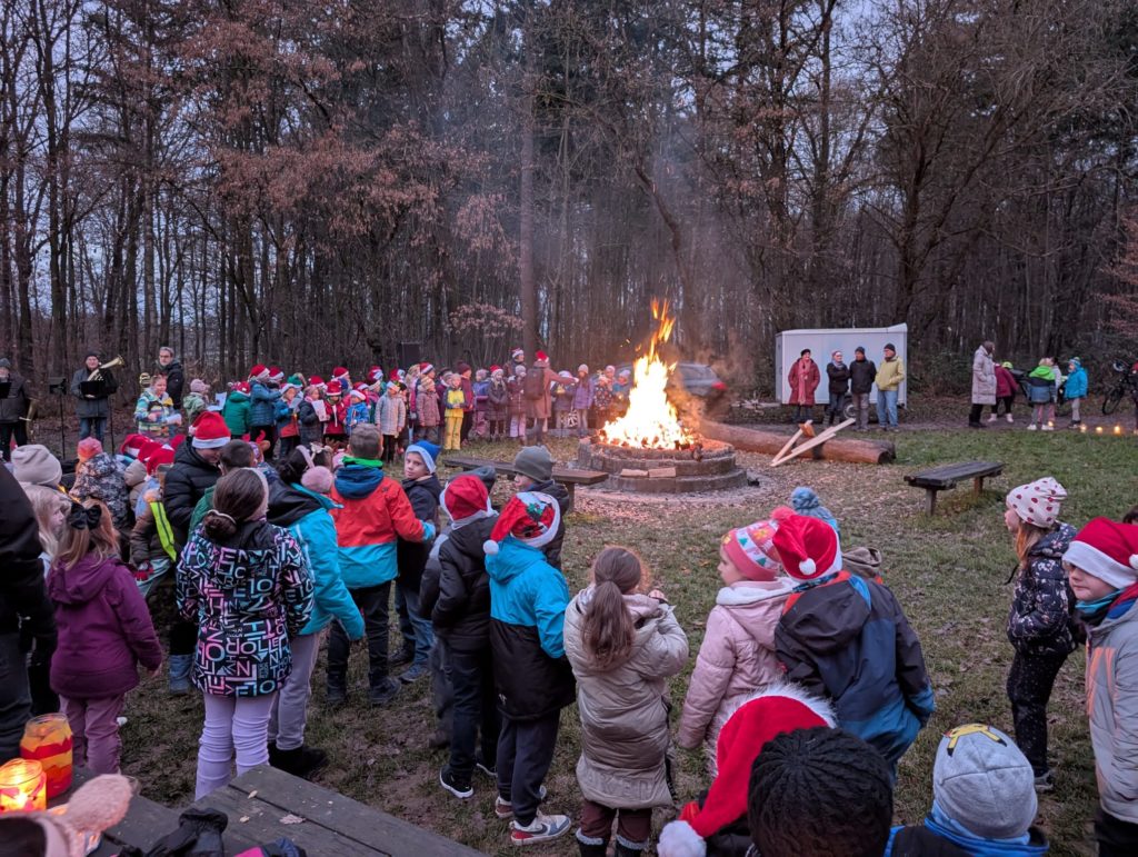 Whatsapp Image 2025 2 19 At 09.28.5